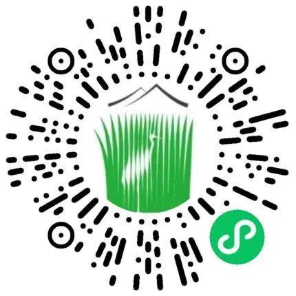 端午游龙会、水上婚礼、蟠桃盛宴……第一波端午活动已就位!(图8)