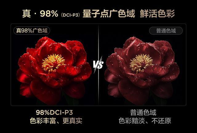 全球MiniLED电视爆发增长T7L Ultra凭多项黑科技成2025爆款(图8)