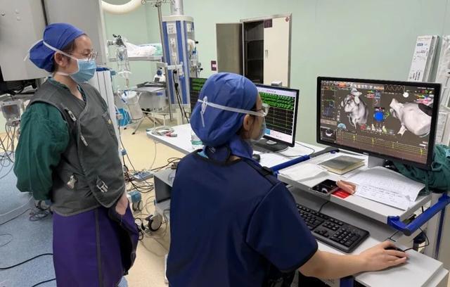 破房颤治疗困局 阜外华中心血管病医院“双超高”技术惊艳国际舞台(图4)