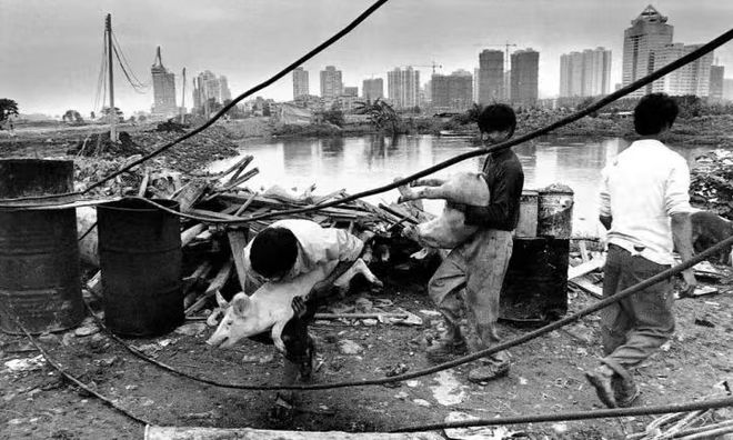 从全运会看生态广东和科技广东!(图12)