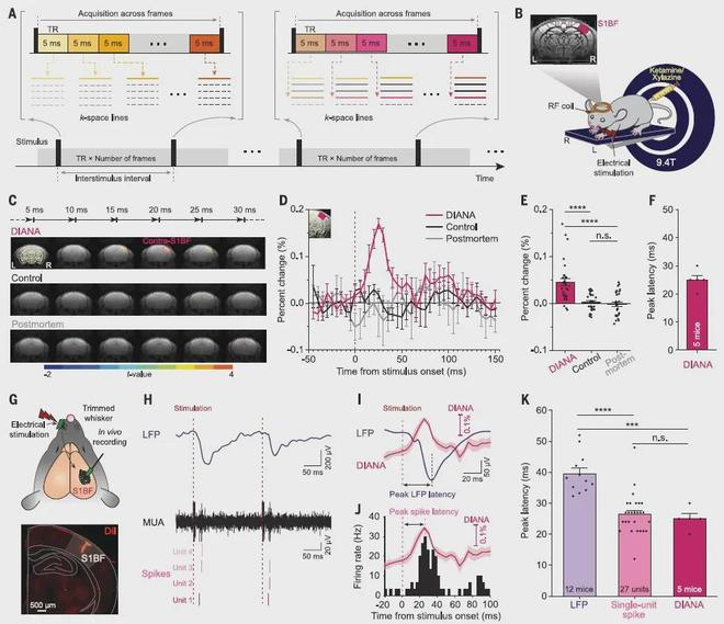 因无法复现!《Science》论文撤稿科技部门取消奖项(图3)