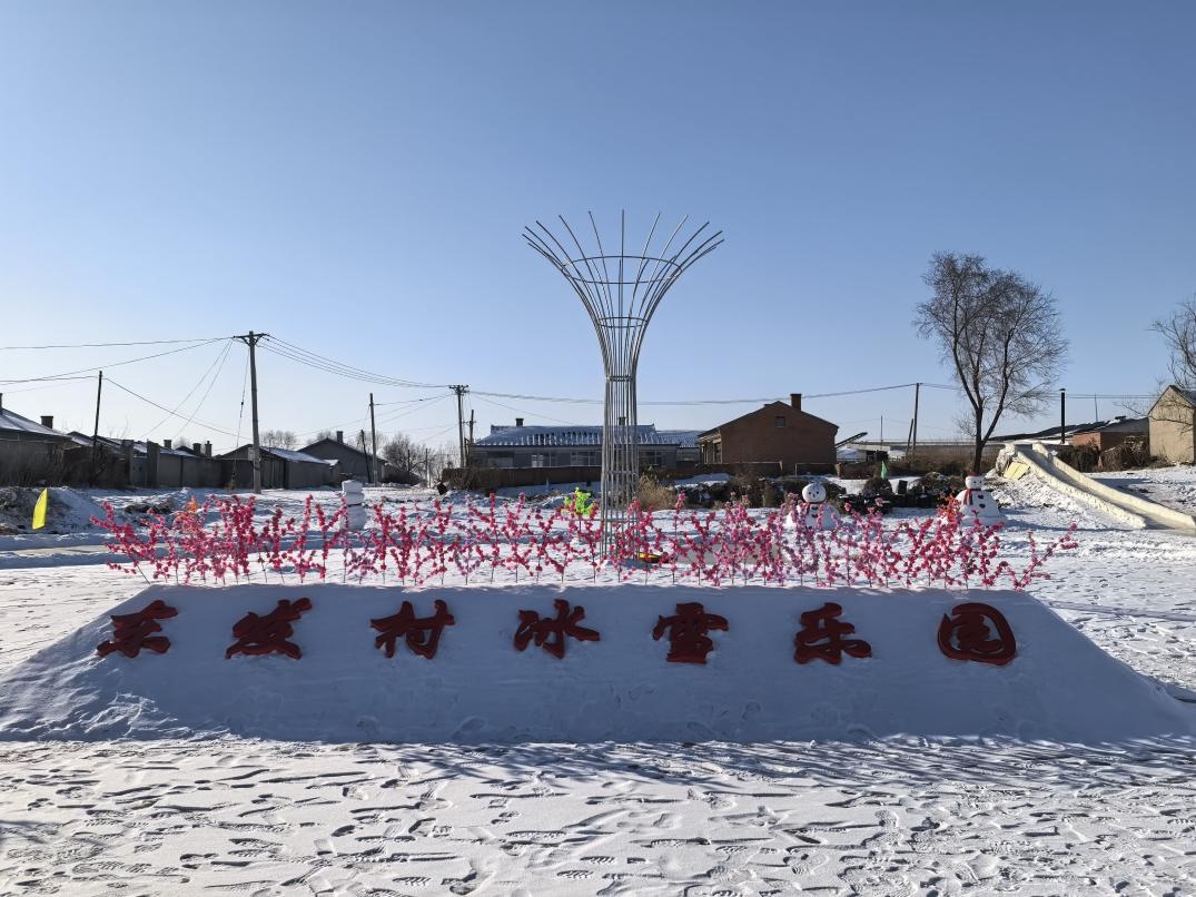 哈尔滨市双城区东发村建起冰雪乐园(图1)